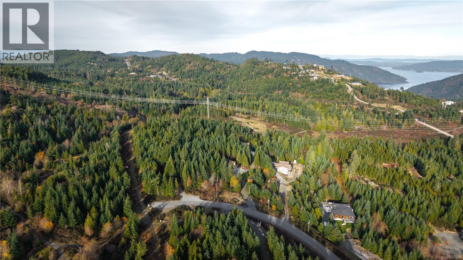 1550 Olympic Dr, Shawnigan Lake, BC - Outdoor With View