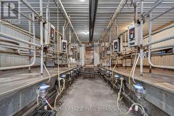 10 cow milk parlor. -