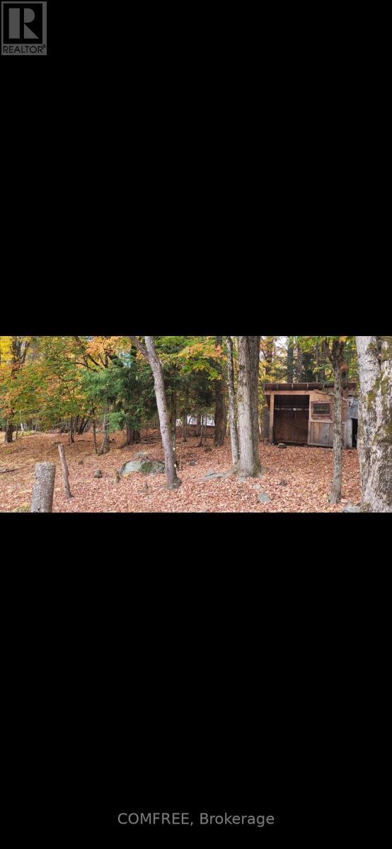 39 Raymond Road, Bracebridge (Muskoka (N)), ON - Outdoor