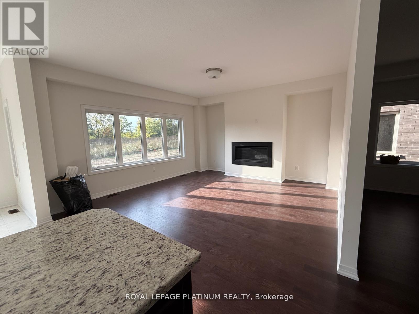 43 Mckernan Avenue, Brantford, ON - Indoor Photo Showing Living Room With Fireplace