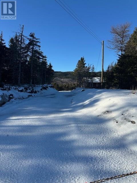 25 Ocean View Drive, Norman'S Cove, NL - Outdoor With View