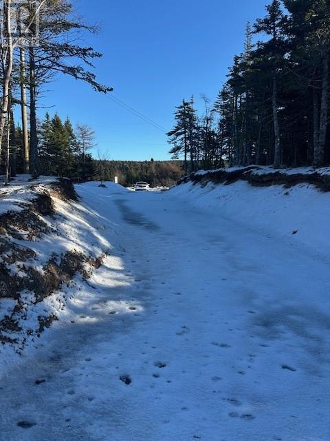 25 Ocean View Drive, Norman'S Cove, NL - Outdoor With View