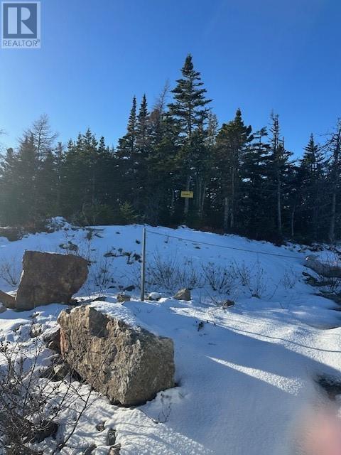 25 Ocean View Drive, Norman'S Cove, NL - Outdoor With View