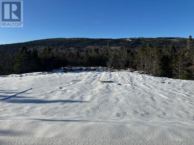 25 Ocean View Drive, Norman'S Cove, NL - Outdoor With View