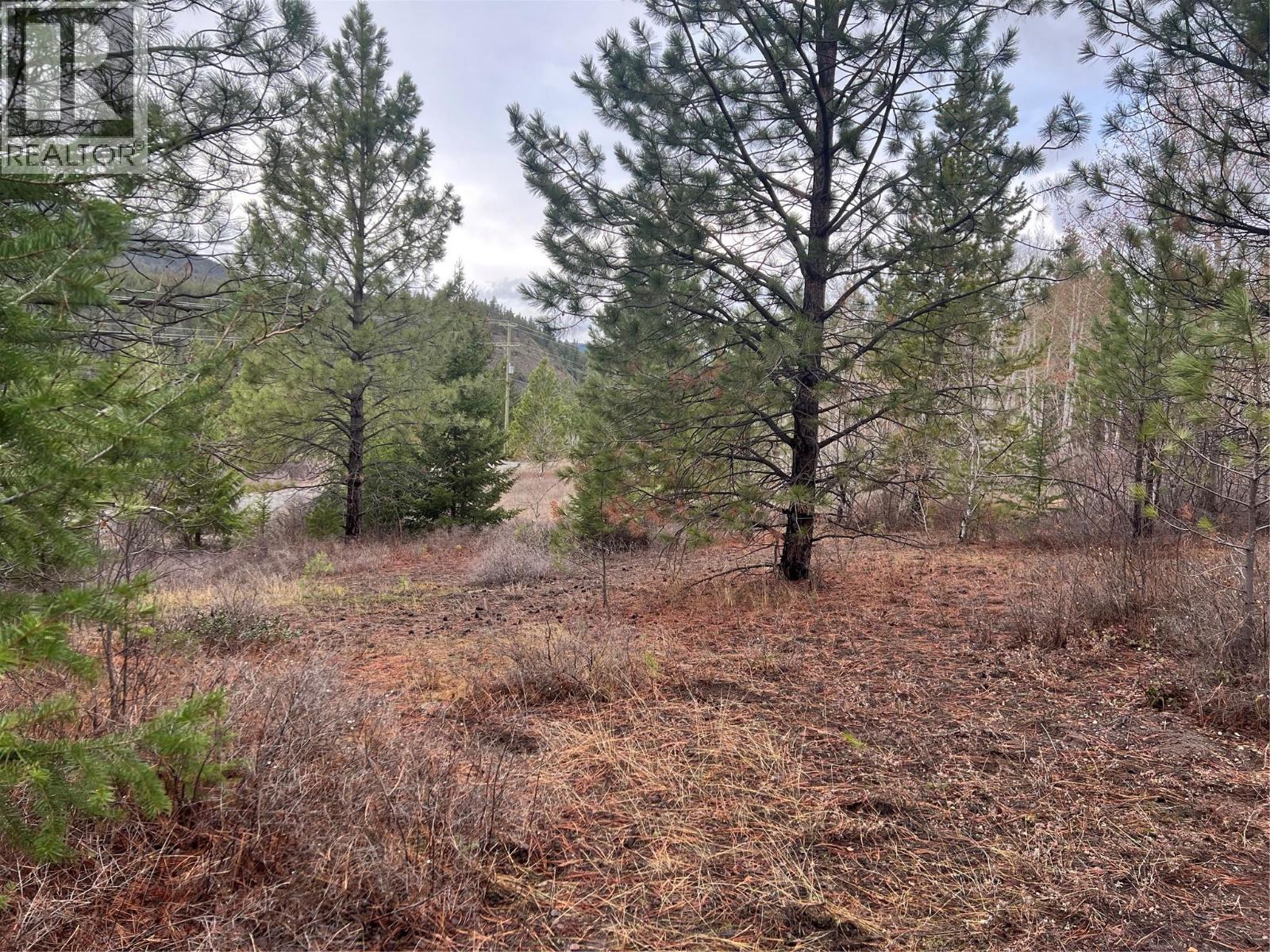 2457 Coldwater Road Unit# Lot 9, Merritt, BC