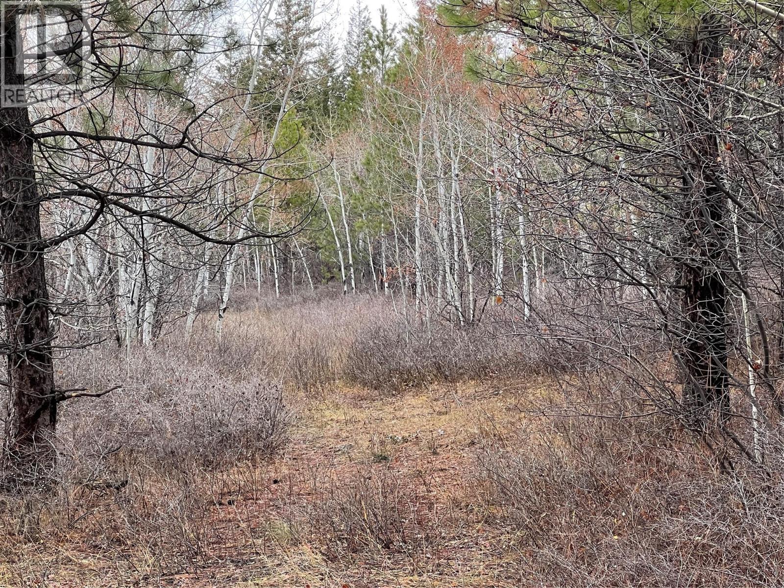 2457 Coldwater Road Unit# Lot 9, Merritt, BC