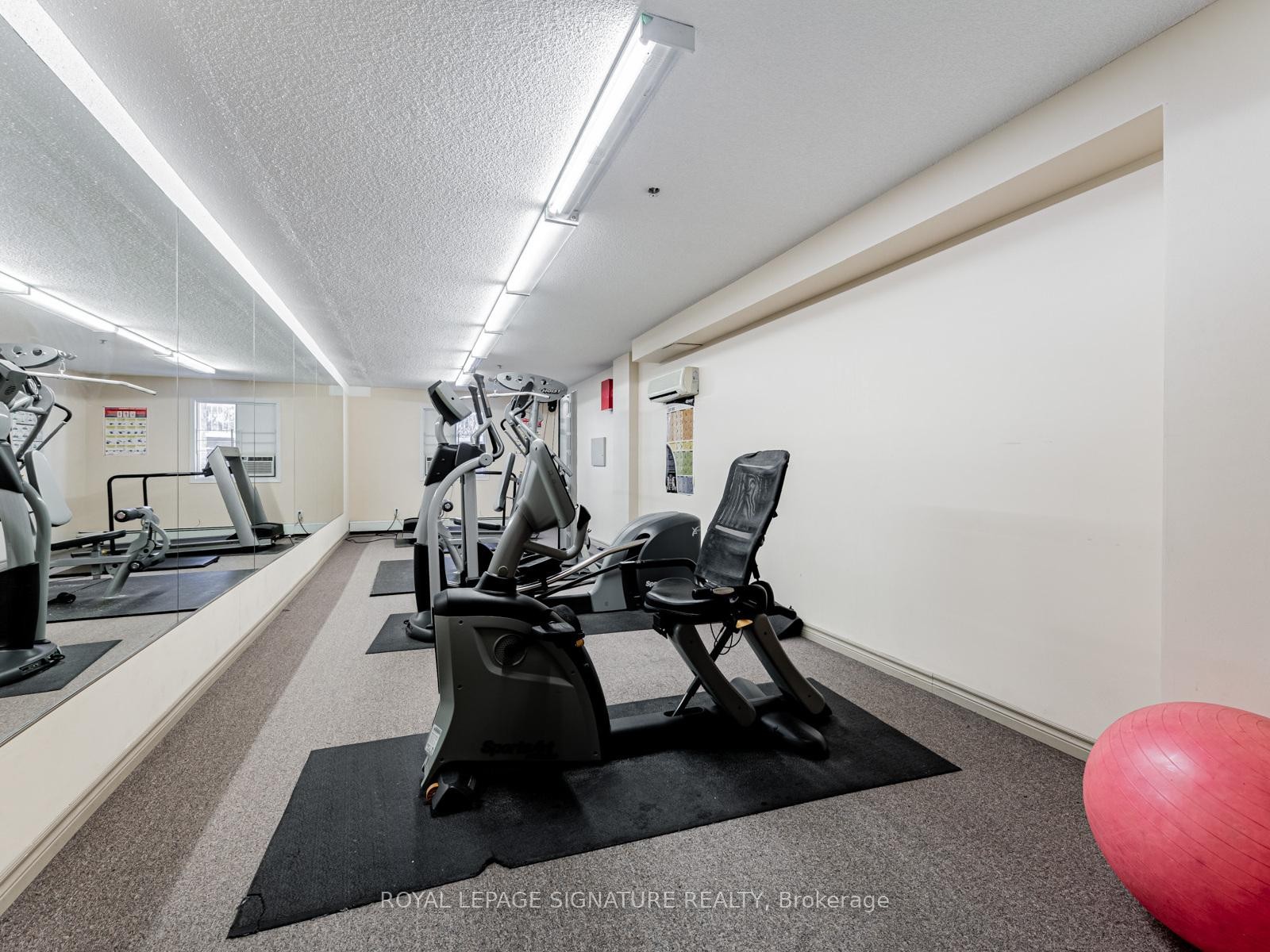 430-684 Warden Avenue, Toronto, ON - Indoor Photo Showing Gym Room