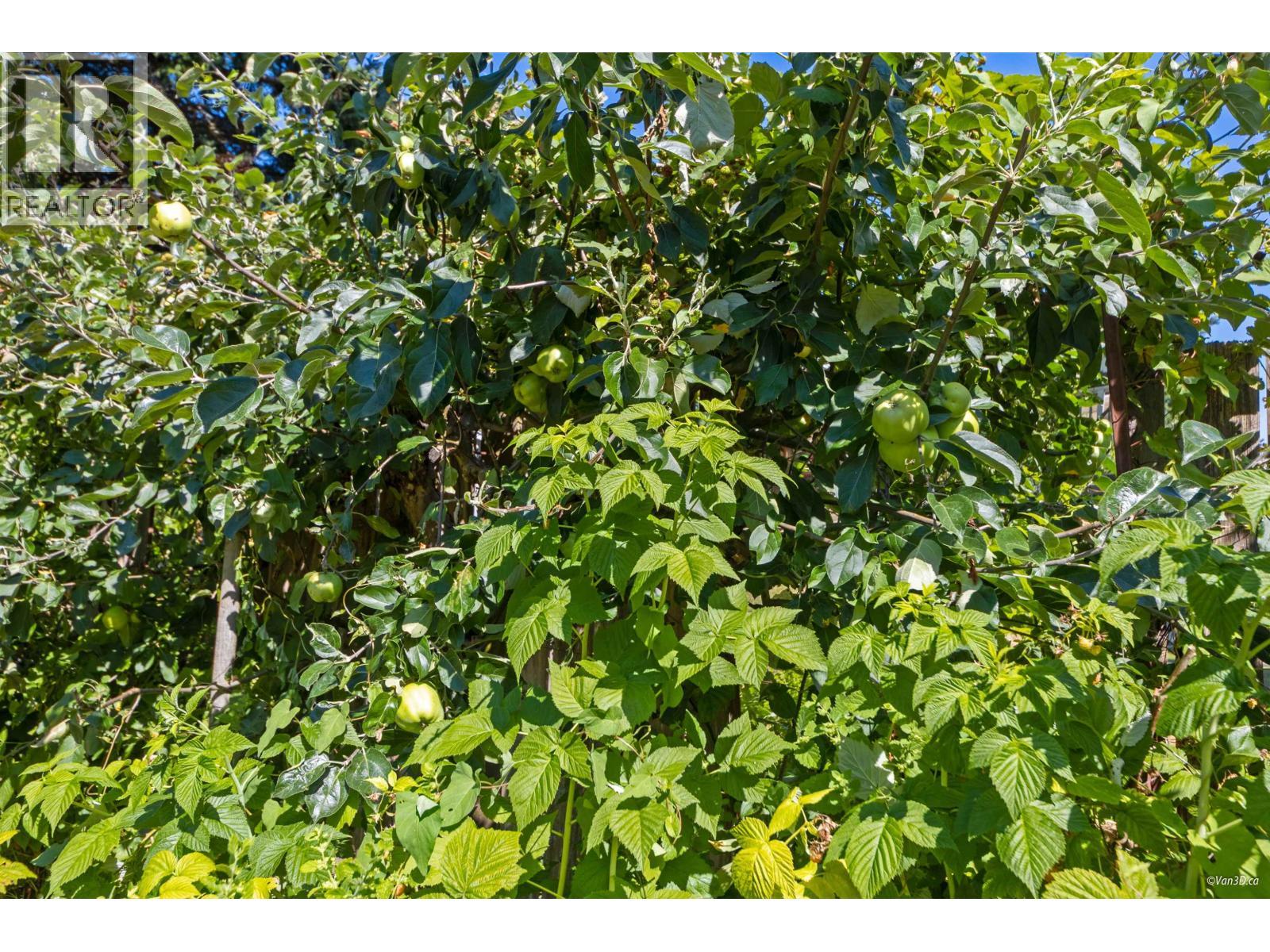 1115 Lenora Road, Bowen Island, BC - Outdoor