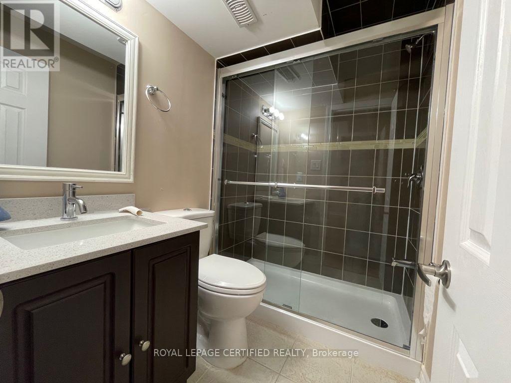 Basement - 169 Fennamore Terrace Nw, Milton, ON - Indoor Photo Showing Bathroom