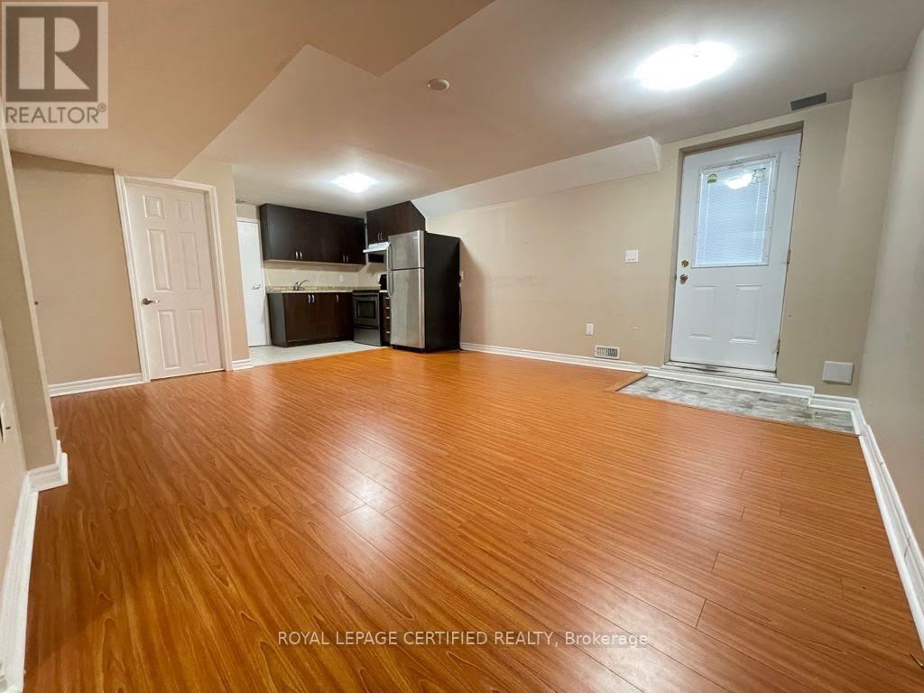 Basement - 169 Fennamore Terrace Nw, Milton, ON - Indoor Photo Showing Living Room