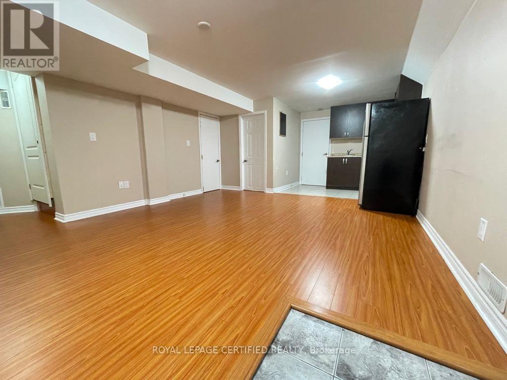 Basement - 169 Fennamore Terrace Nw, Milton, ON - Indoor Photo Showing Other Room