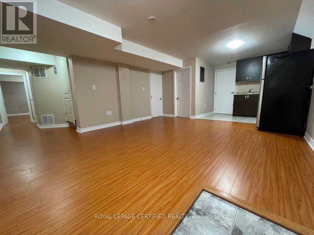 Basement - 169 Fennamore Terrace Nw, Milton, ON - Indoor Photo Showing Other Room