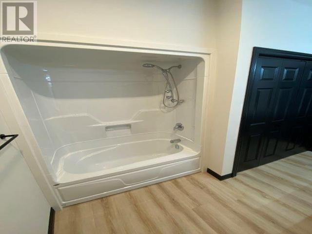 255 East Balfour St, Sault Ste. Marie, ON - Indoor Photo Showing Bathroom