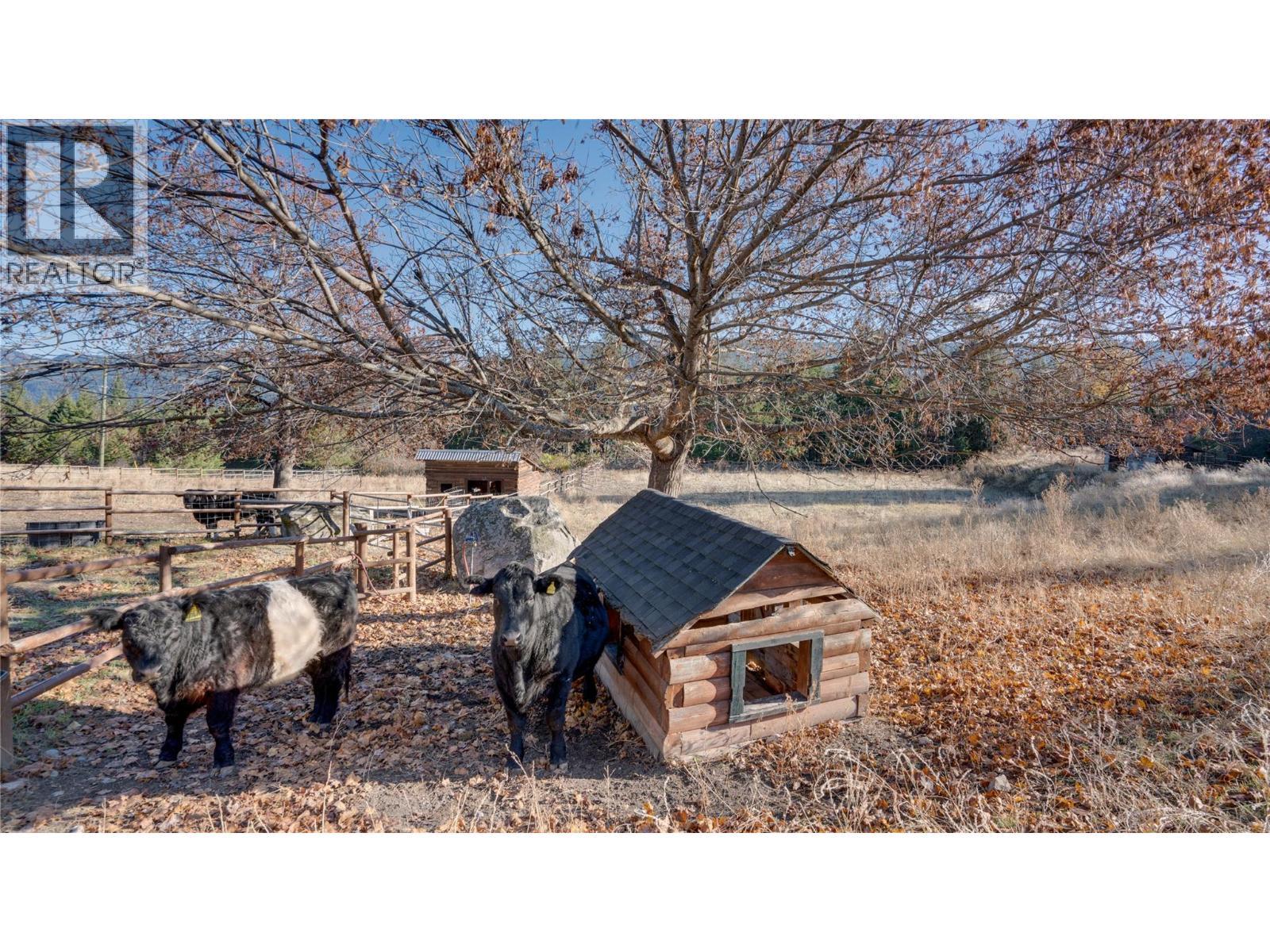 2086 Yankee Flats Road, Salmon Arm, BC - Outdoor With View