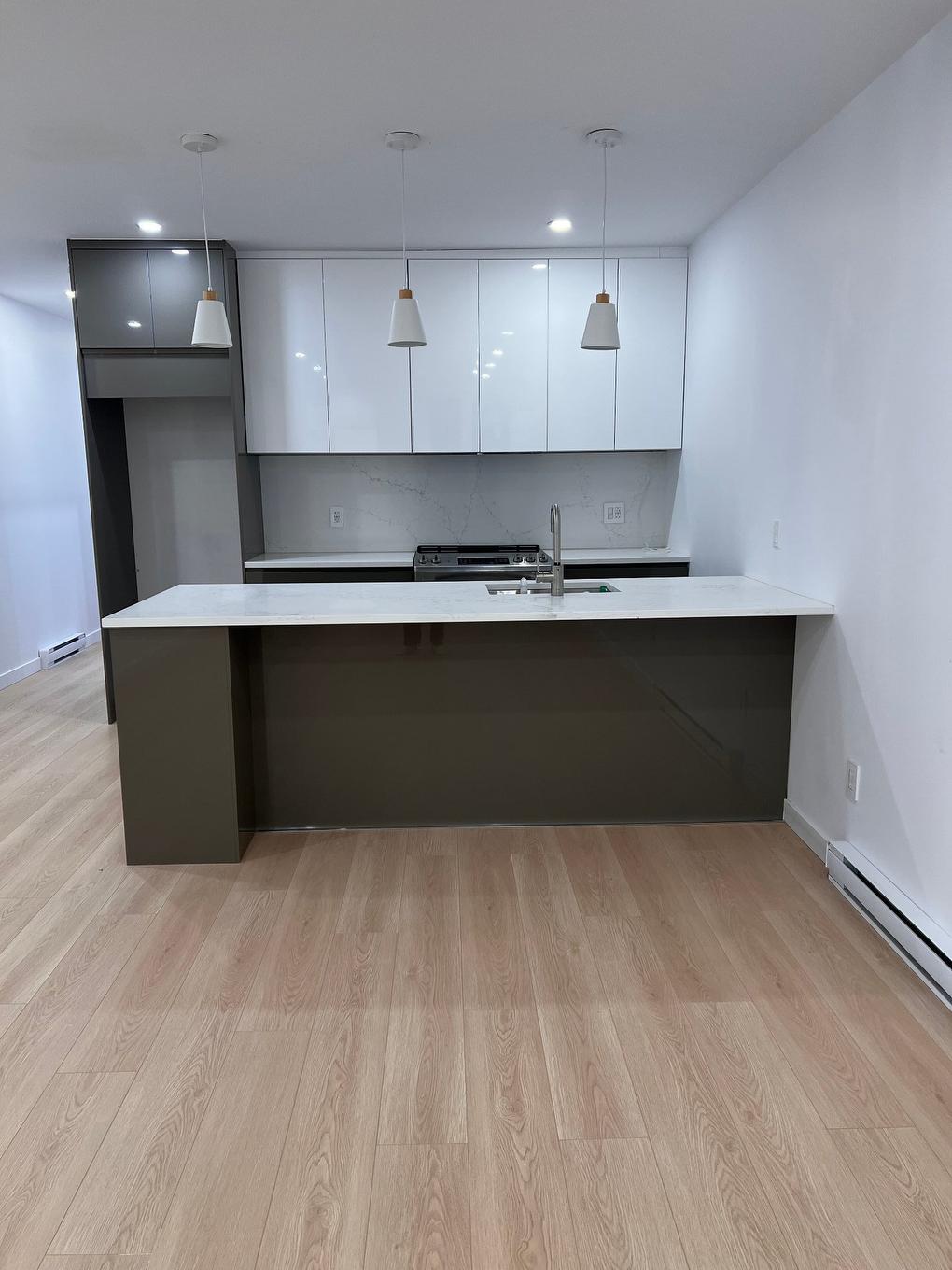 Cuisine - 6439 Av. Des Érables, Montréal (Rosemont/La Petite-Patrie), QC - Indoor Photo Showing Kitchen