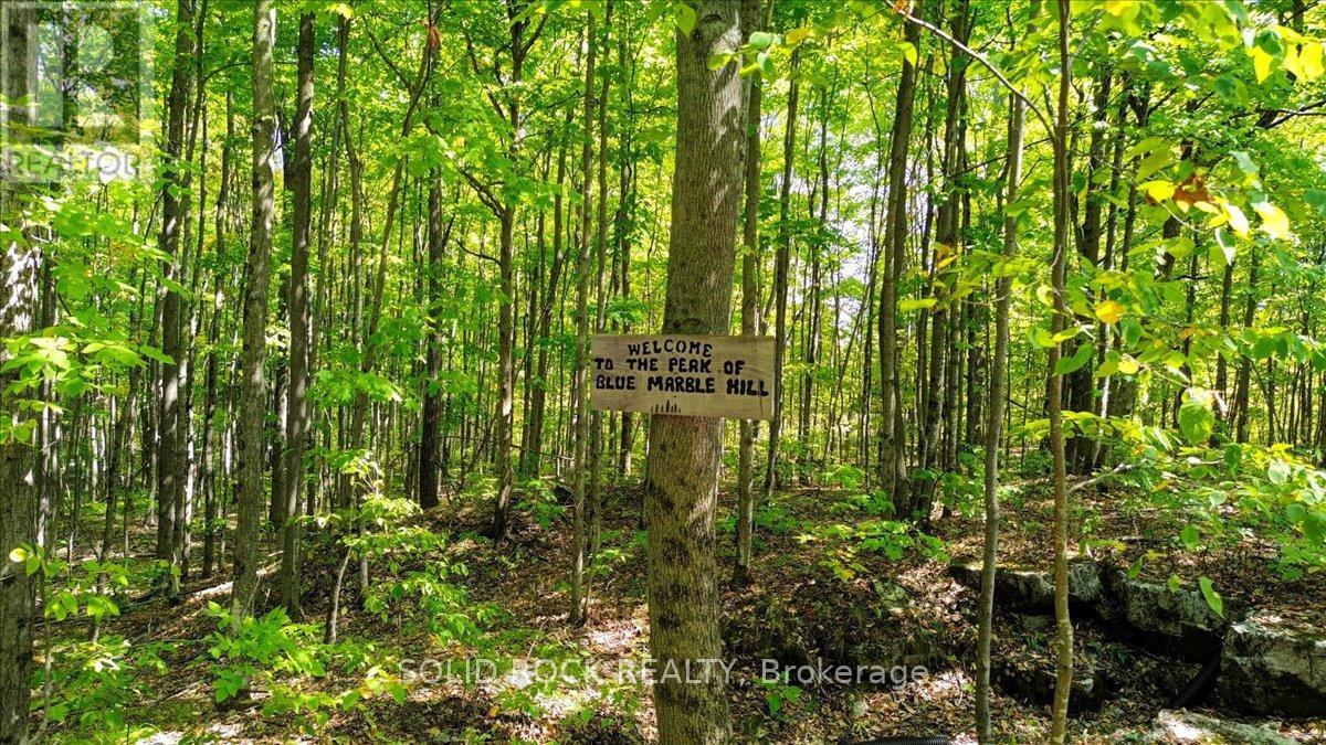 400 Pigden Road, Madoc, ON - Outdoor