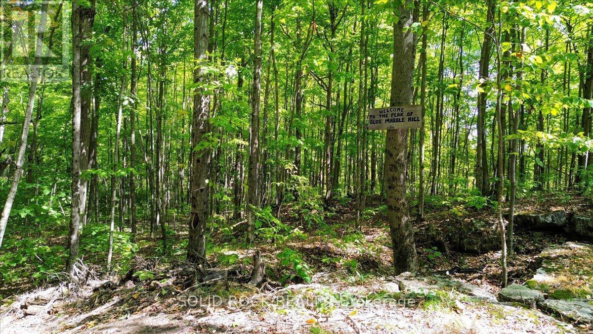 400 Pigden Road, Madoc, ON - Outdoor