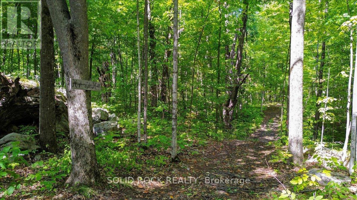 400 Pigden Road, Madoc, ON - Outdoor