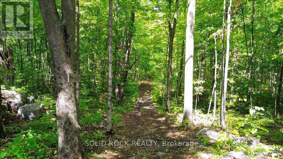 400 Pigden Road, Madoc, ON - Outdoor