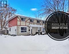 30A AMOS AVENUE Waterloo, ON N2L 5G3