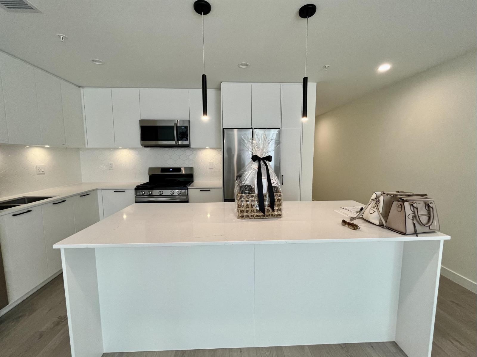 216 8379 201 Street, Langley, BC - Indoor Photo Showing Kitchen With Upgraded Kitchen