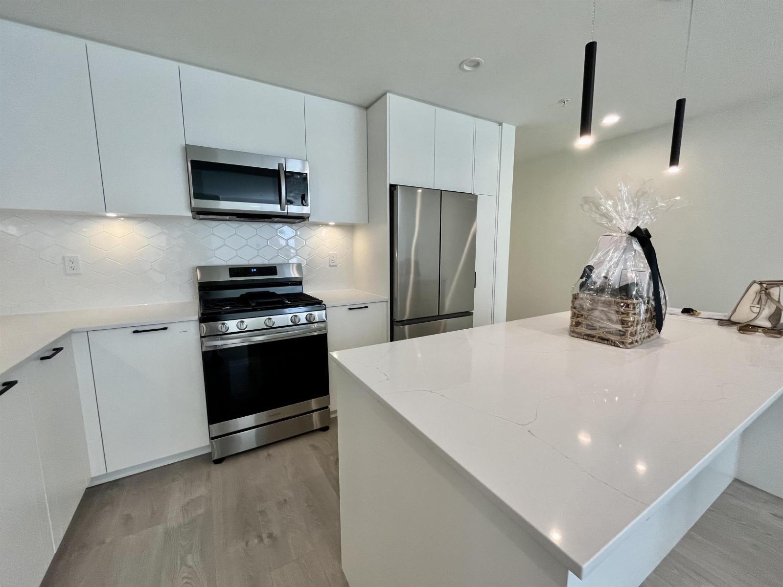 216 8379 201 Street, Langley, BC - Indoor Photo Showing Kitchen With Upgraded Kitchen