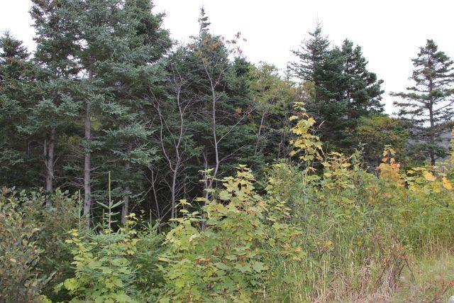 235-241 Beachy Cove Road, Portugal Cove-St. Philip'S, NL