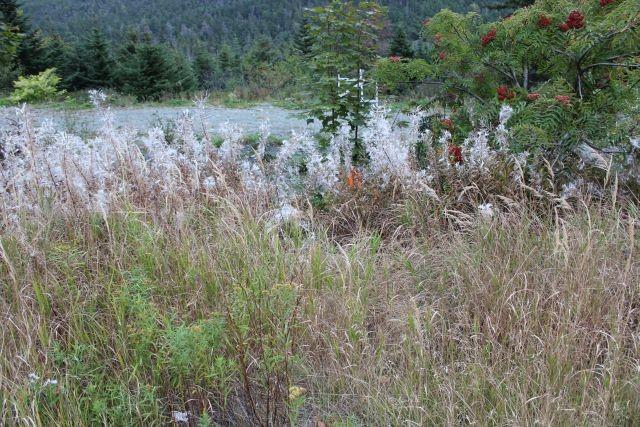 235-241 Beachy Cove Road, Portugal Cove-St. Philip'S, NL