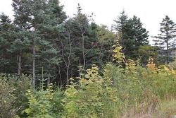 235-241 Beachy Cove Road Portugal Cove-St. Philip's, NL A1M 1Z4