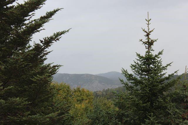 235-241 Beachy Cove Road, Portugal Cove-St. Philip'S, NL