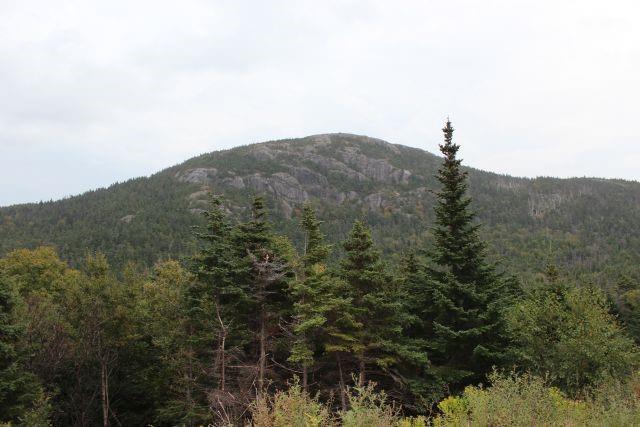 235-241 Beachy Cove Road, Portugal Cove-St. Philip'S, NL