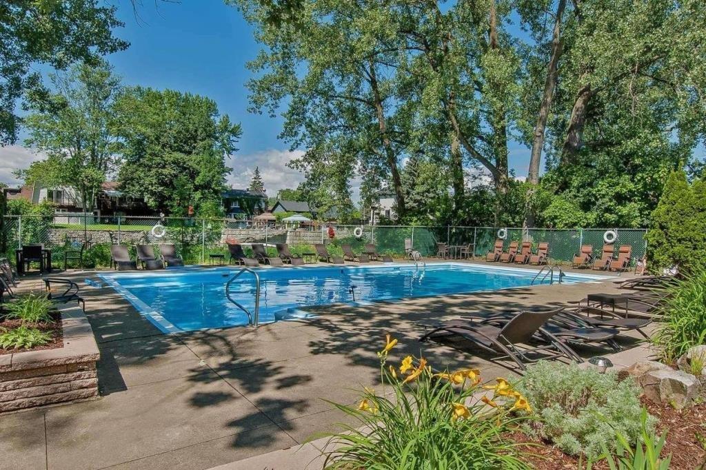 Piscine - 216-2555 Av. Du Havre-Des-Îles, Laval (Chomedey), QC - Outdoor With In Ground Pool With Backyard