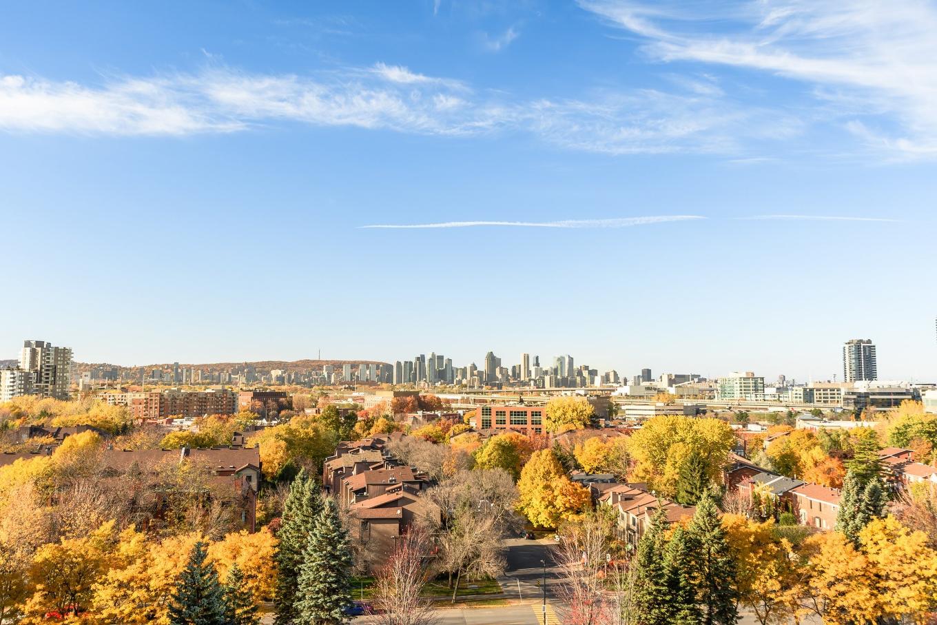 View - 906-80 Rue Berlioz, Montréal (Verdun/Île-Des-Soeurs), QC - Outdoor With View