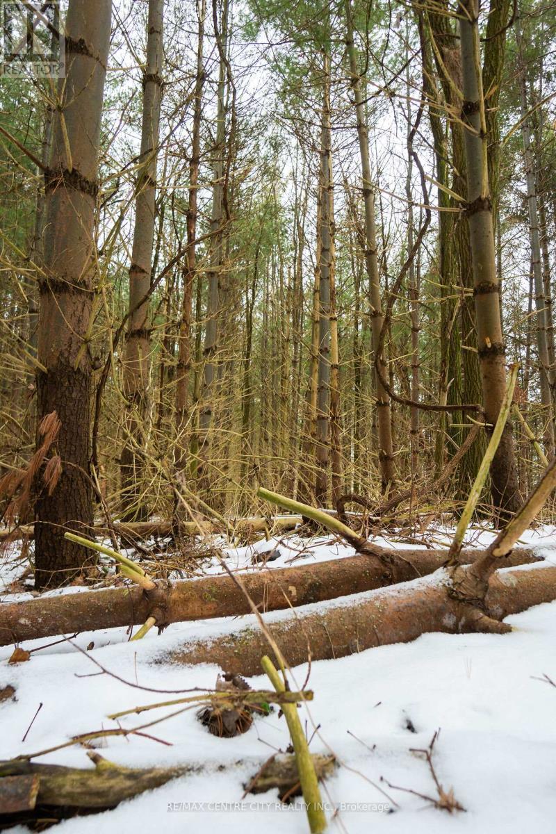 Pt Lt 24 Concession 5, Lambton Shores (Arkona), ON