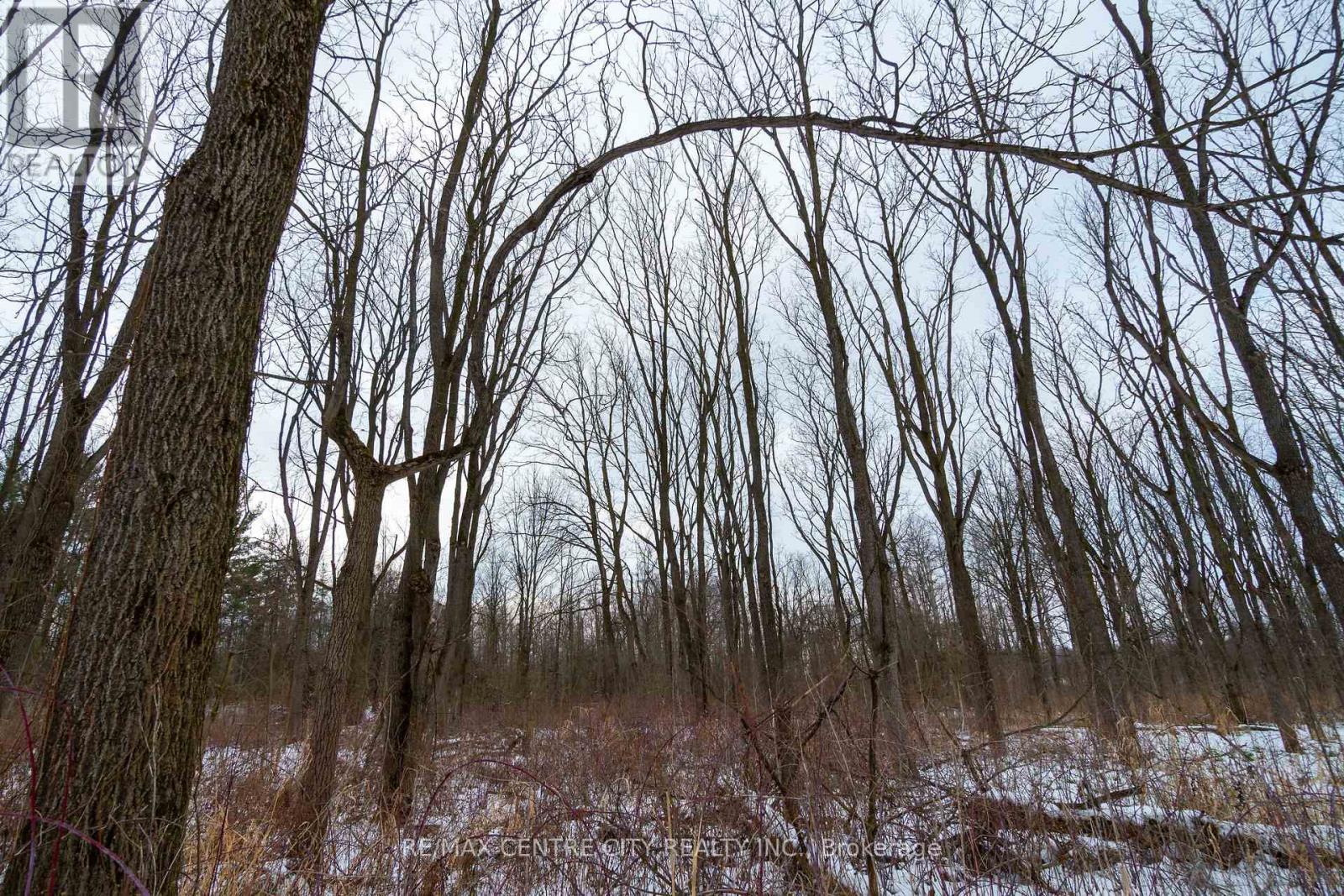 Pt Lt 24 Concession 5, Lambton Shores (Arkona), ON