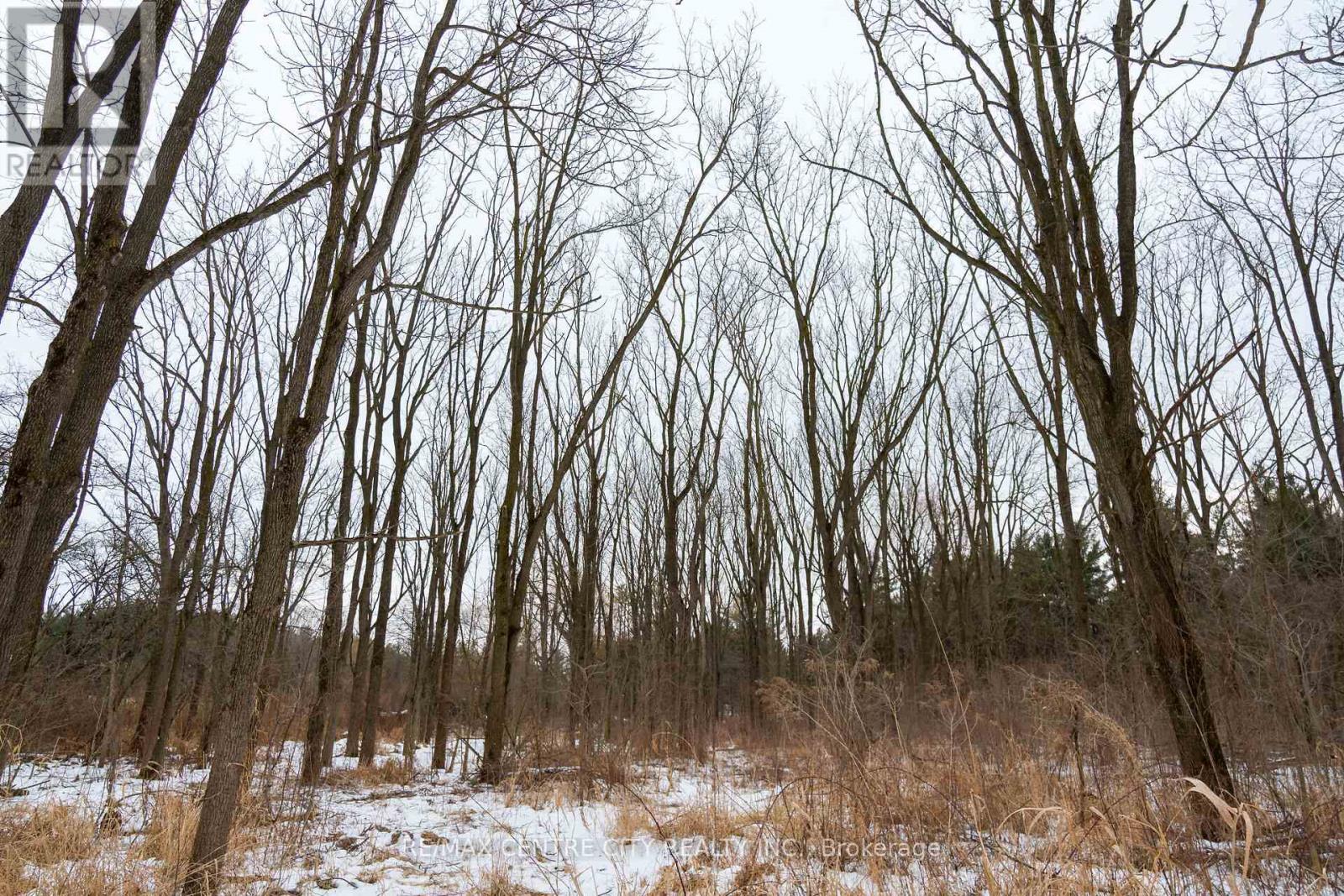 Pt Lt 24 Concession 5, Lambton Shores (Arkona), ON