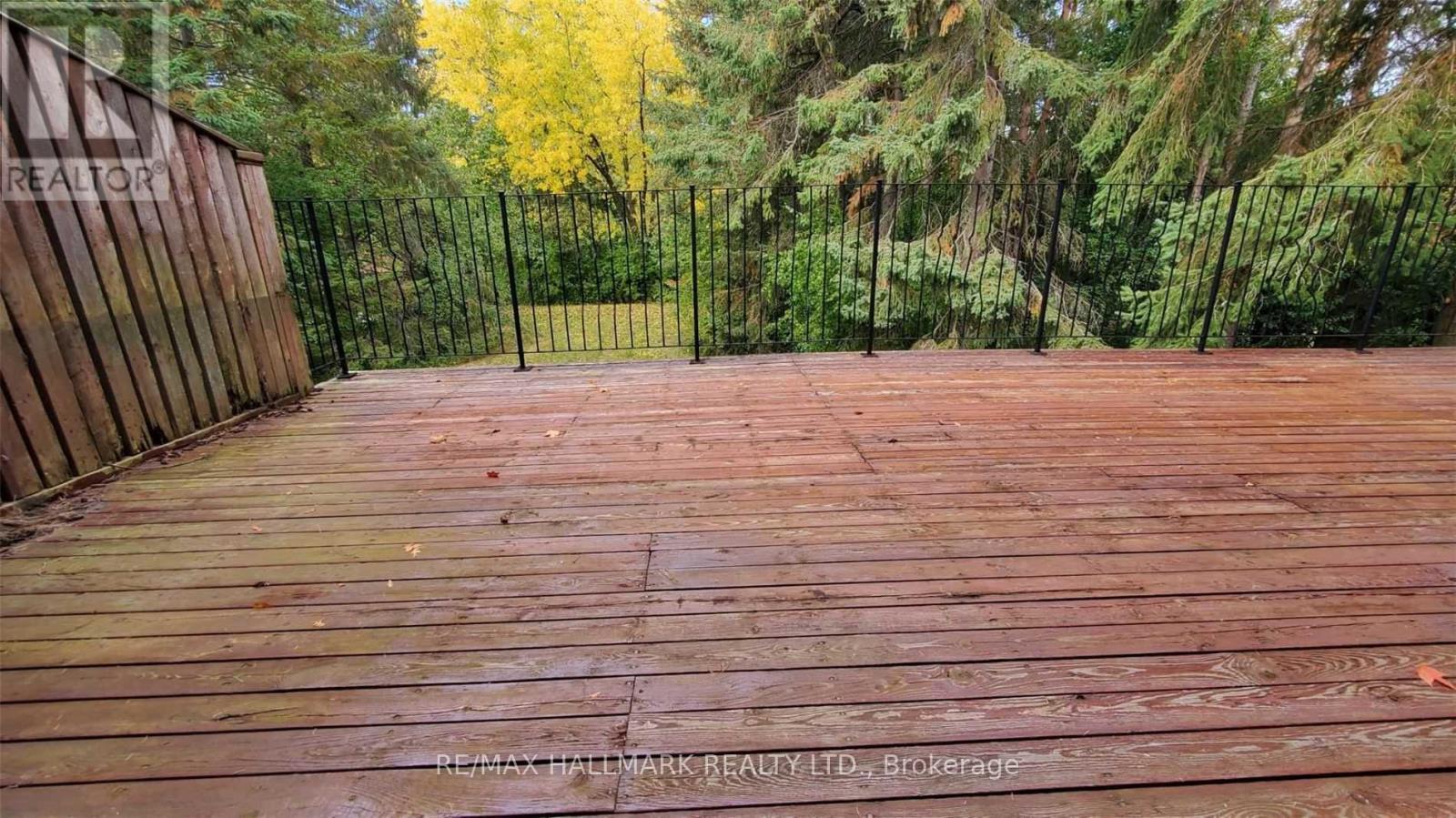 29 Rosegarden Crescent, Richmond Hill, ON - Outdoor