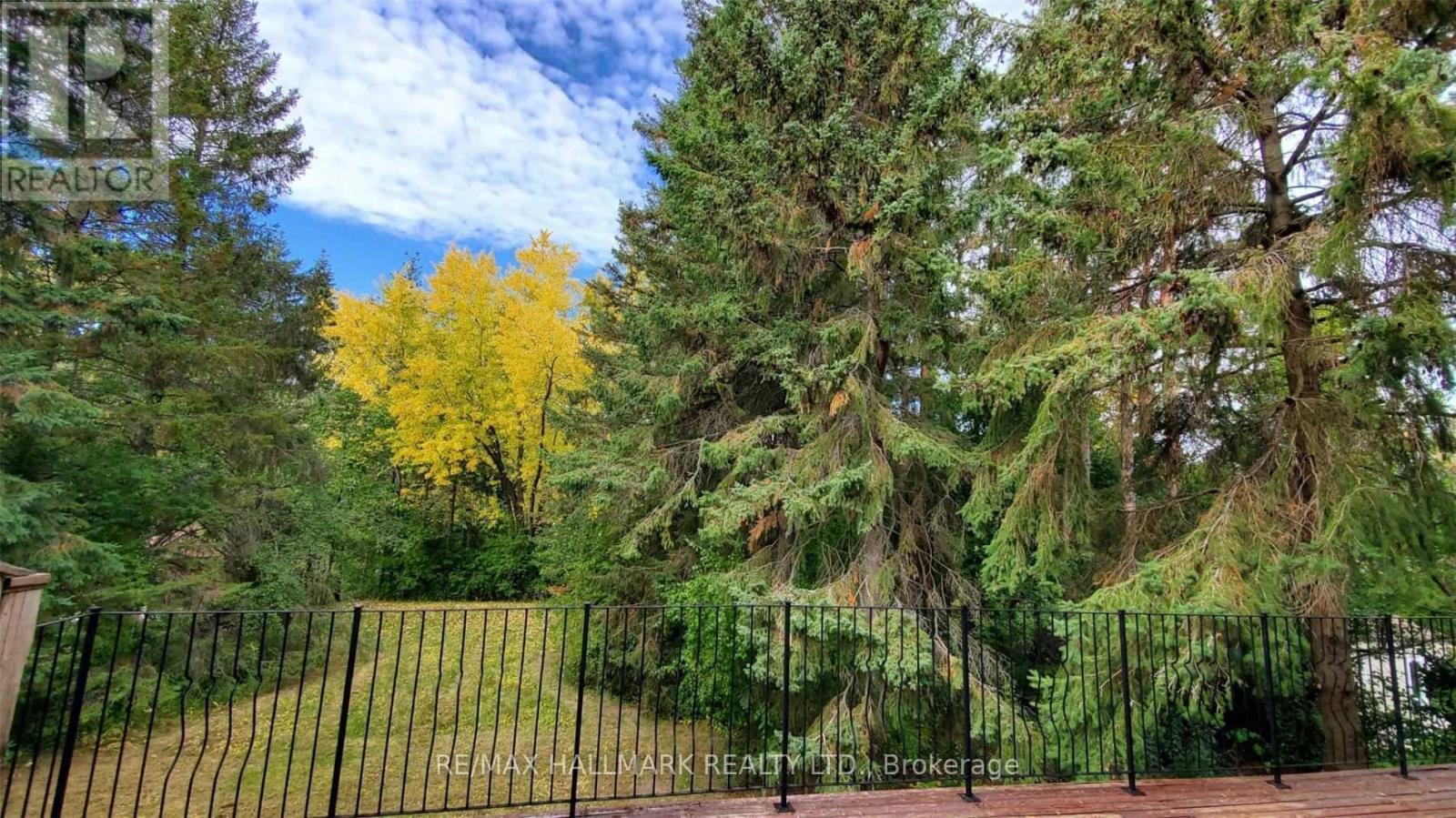 29 Rosegarden Crescent, Richmond Hill, ON - Outdoor