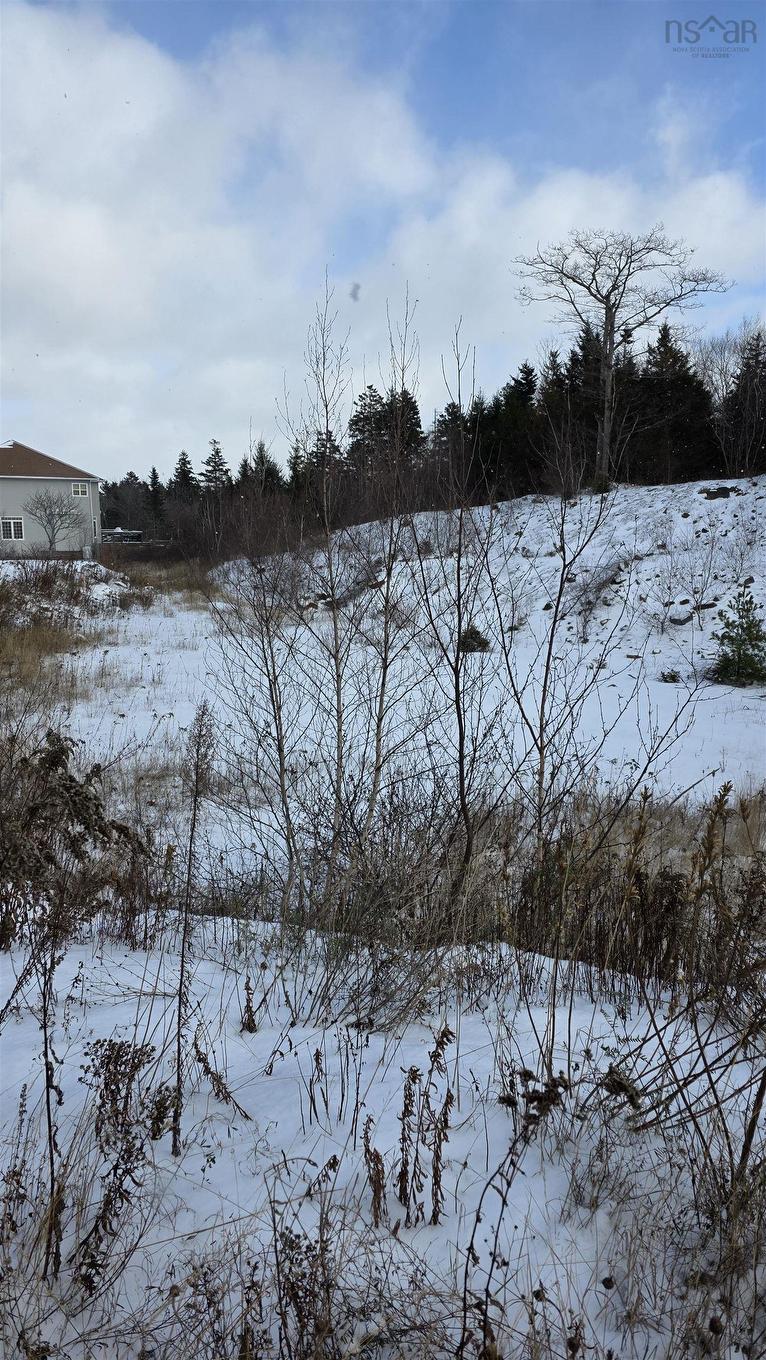 Sf13 16 Lauderdale Court, Halifax, NS