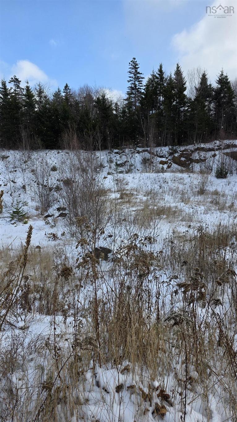 Sf13 16 Lauderdale Court, Halifax, NS