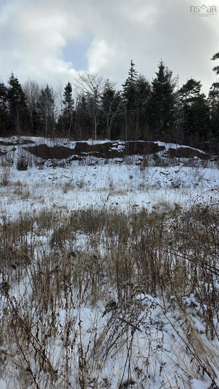 Sf13 16 Lauderdale Court, Halifax, NS