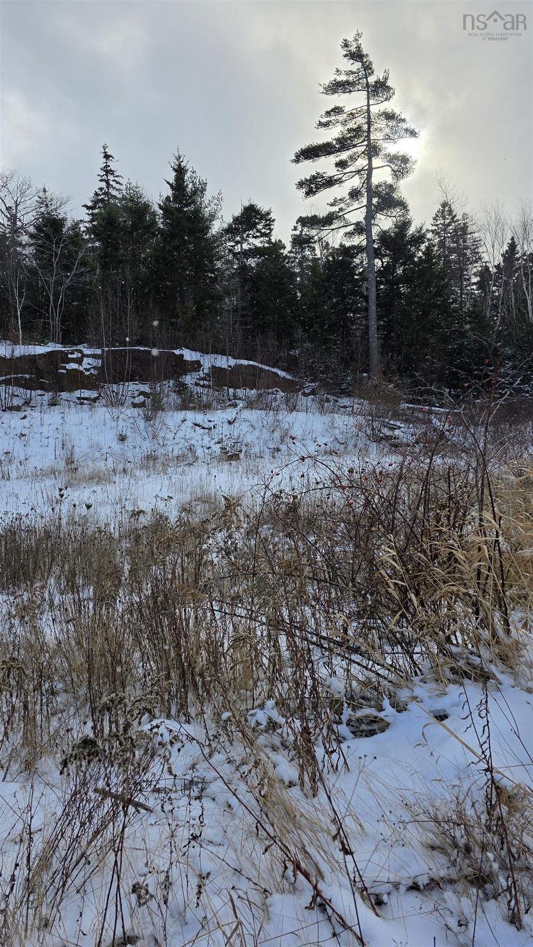 Sf13 16 Lauderdale Court, Halifax, NS