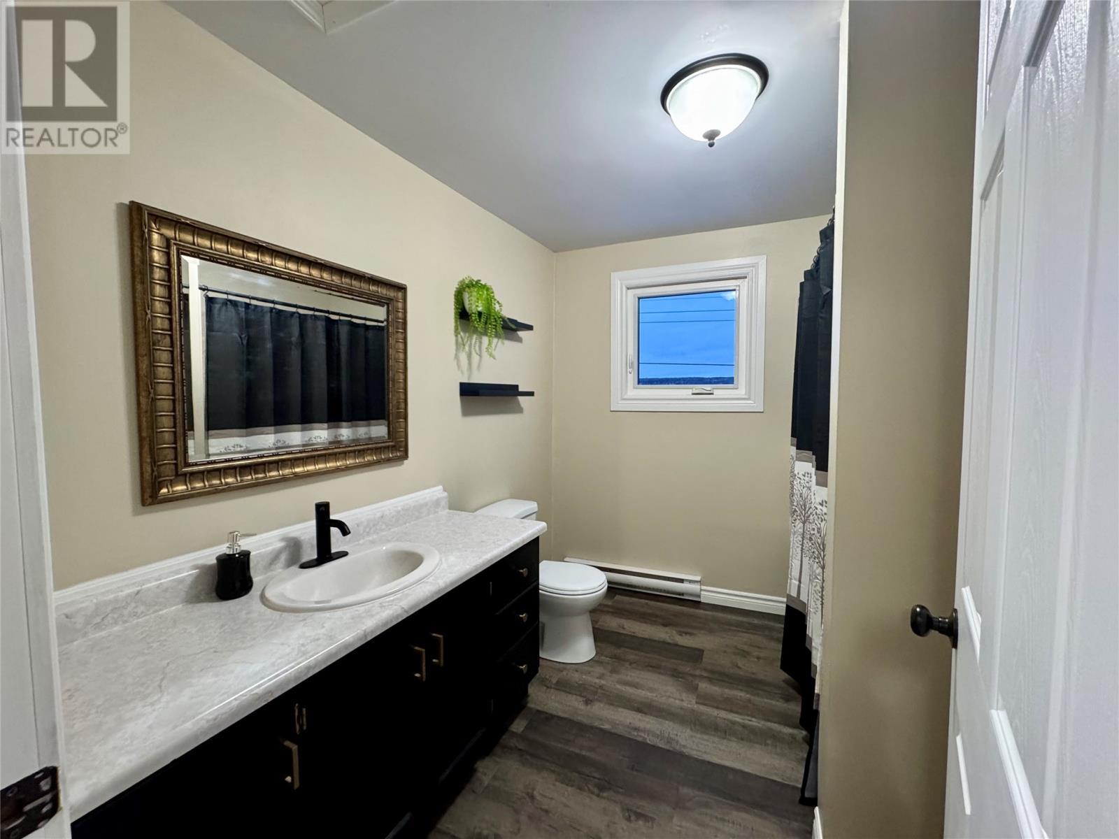 389 Citizens Drive, Norris Arm, NL - Indoor Photo Showing Bathroom