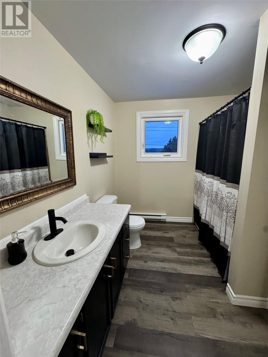 389 Citizens Drive, Norris Arm, NL - Indoor Photo Showing Bathroom