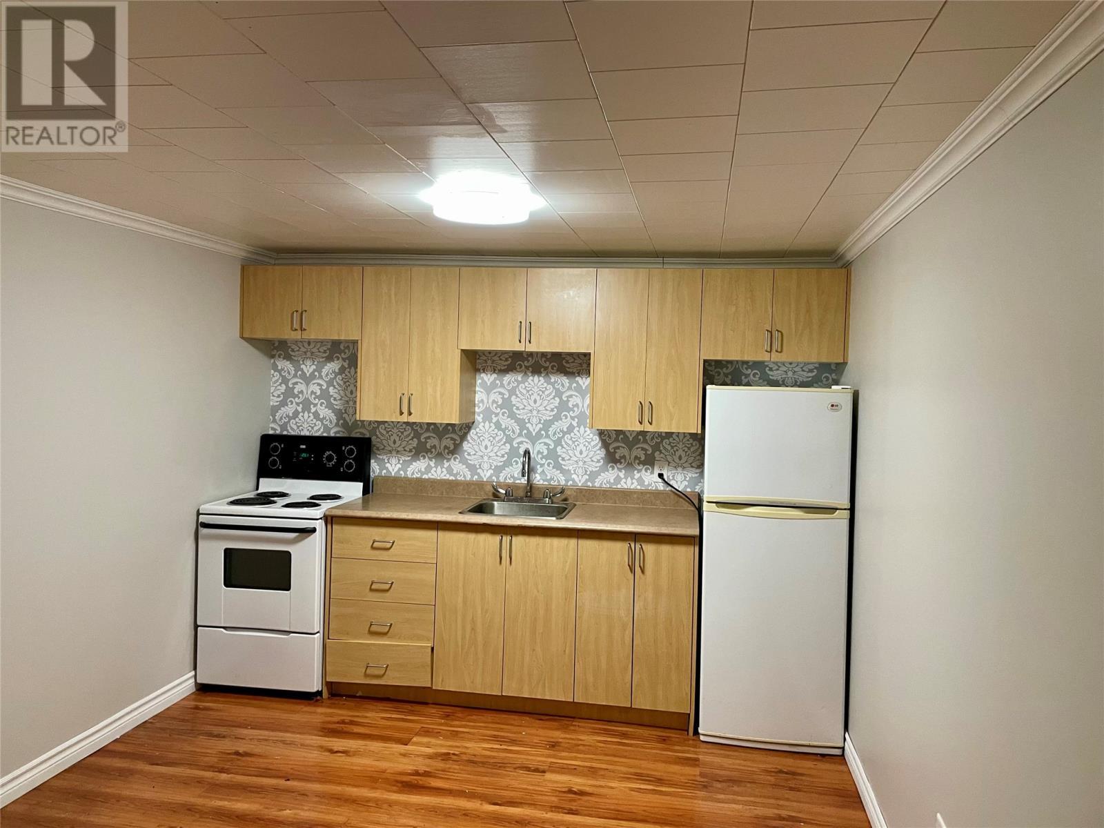 389 Citizens Drive, Norris Arm, NL - Indoor Photo Showing Kitchen