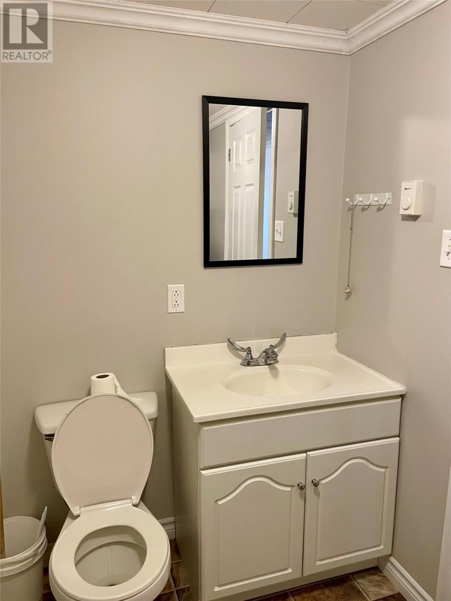 389 Citizens Drive, Norris Arm, NL - Indoor Photo Showing Bathroom