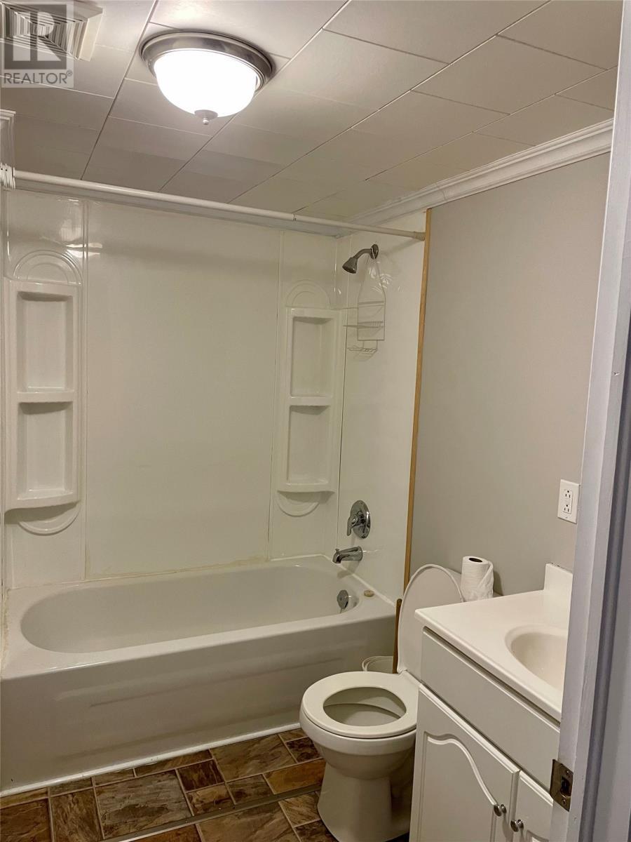 389 Citizens Drive, Norris Arm, NL - Indoor Photo Showing Bathroom