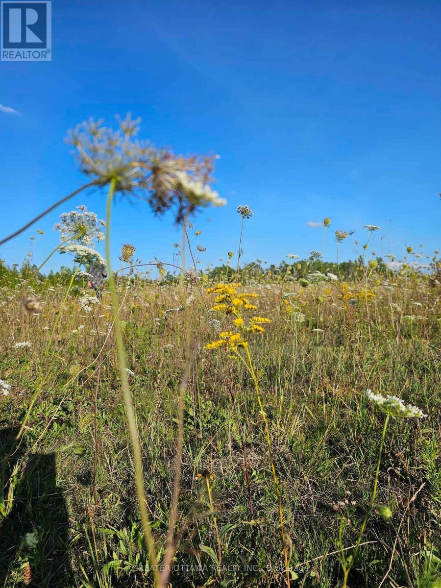 Much nicer than winter pics :) - B22/103 Graham Road, Beckwith, ON