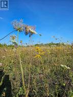 Much nicer than winter pics :) -