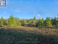 beautiful open space just needs your home on it -